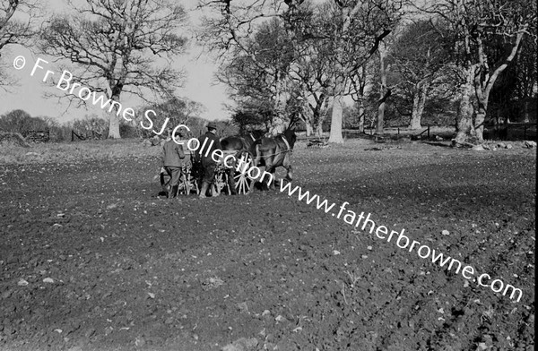 SOWING WINTER WHEAT MACHINE